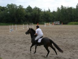 img_5933_web